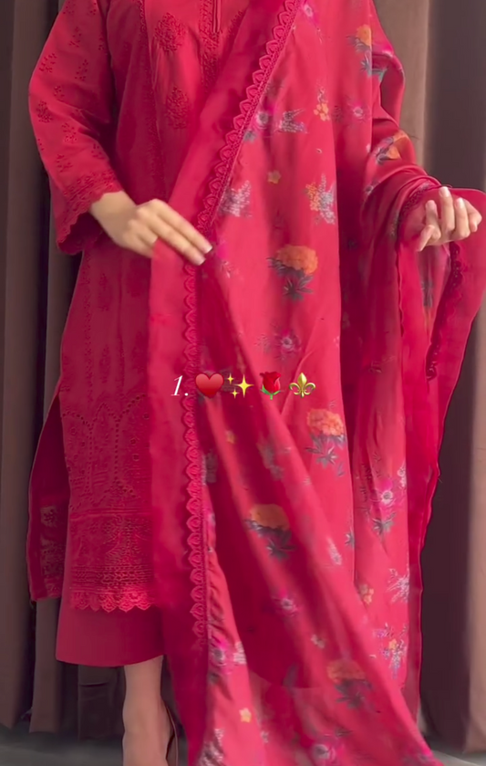 Pack of 2 Chikankari 3pcs suit