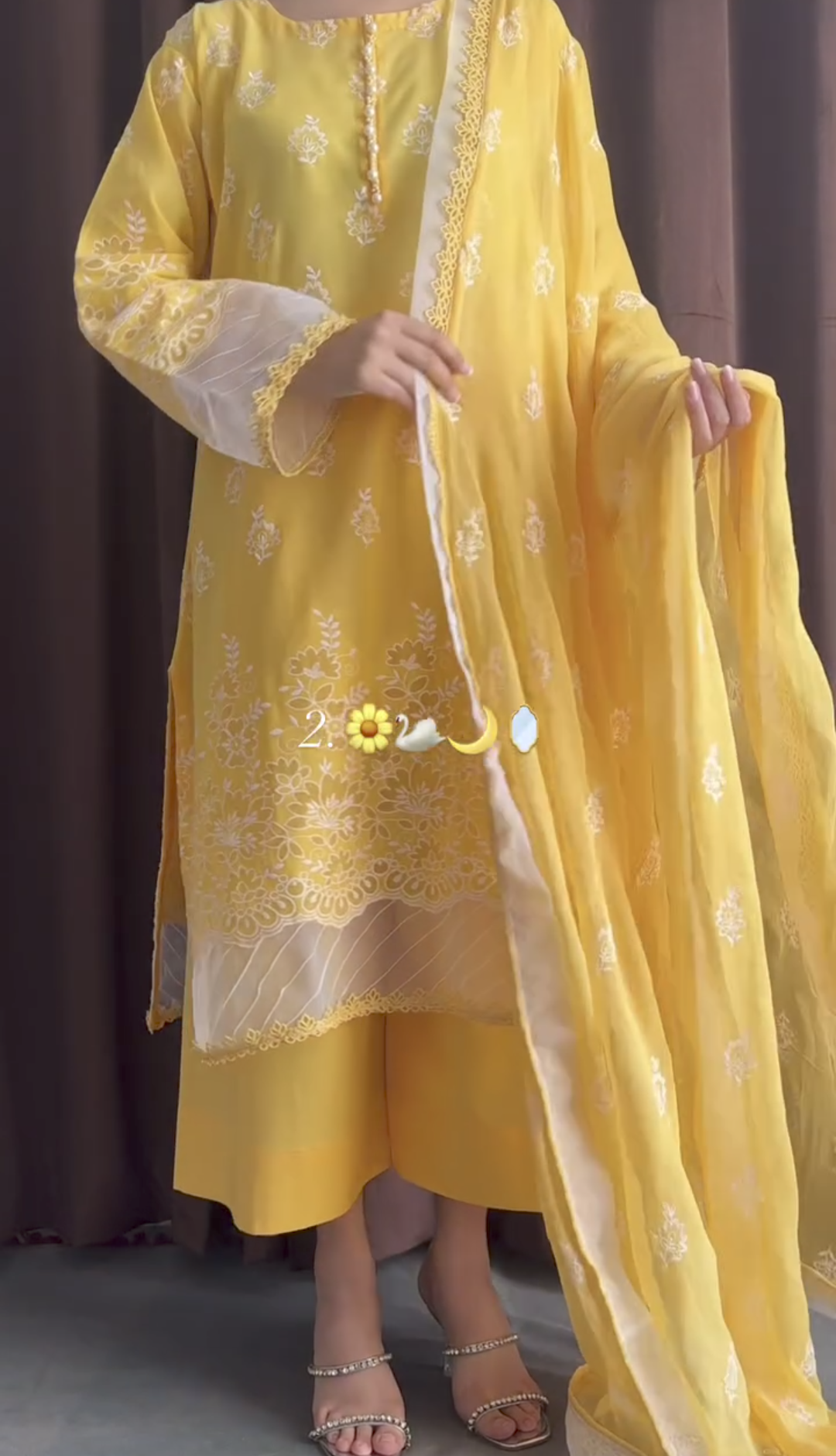 Pack of 2 Chikankari 3pcs suit