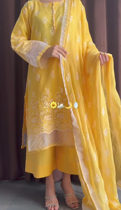 Pack of 2 Chikankari 3pcs suit